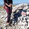 Lejla